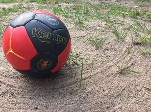 开云·体育官网-安提瓜和巴布达在中美洲锦标赛中夺冠，体育实力不断崛起